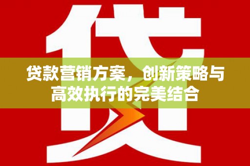 新蔡贷款营销方案，创新策略与高效执行的完美结合