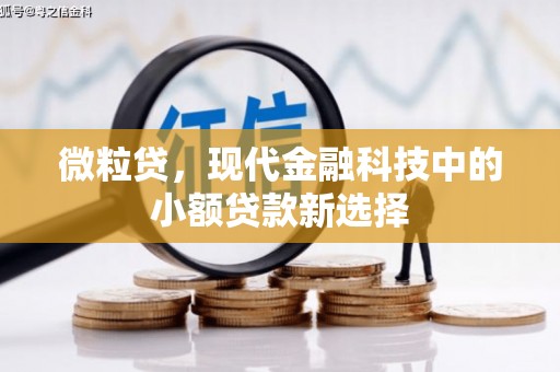 新蔡微粒贷，现代金融科技中的小额贷款新选择