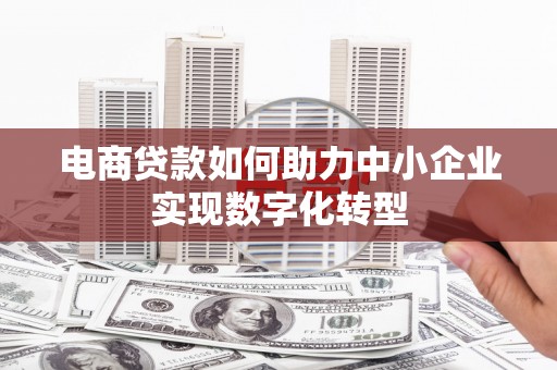 新蔡电商贷款如何助力中小企业实现数字化转型