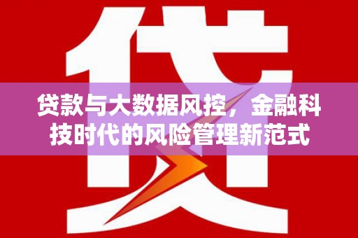 新蔡贷款与大数据风控，金融科技时代的风险管理新范式