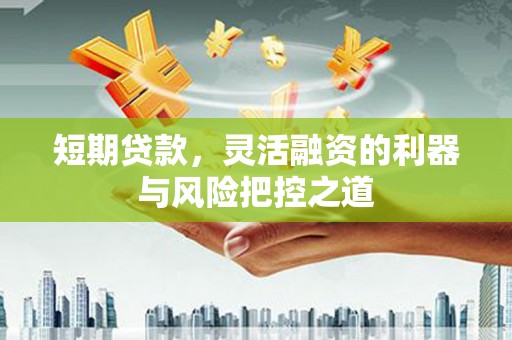 新蔡短期贷款，灵活融资的利器与风险把控之道