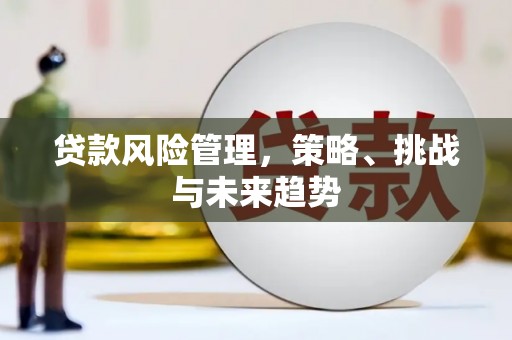 新蔡贷款风险管理，策略、挑战与未来趋势