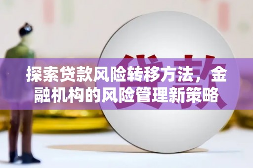 新蔡探索贷款风险转移方法，金融机构的风险管理新策略