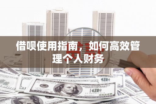 新蔡借呗使用指南，如何高效管理个人财务