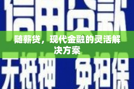 新蔡随薪贷，现代金融的灵活解决方案