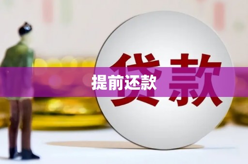 新蔡提前还款