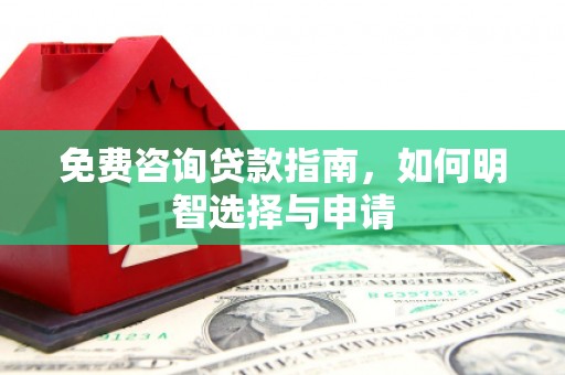 新蔡免费咨询贷款指南，如何明智选择与申请