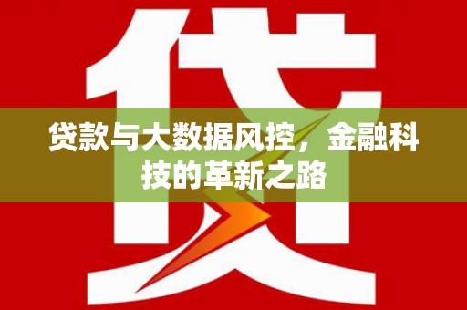 新蔡贷款与大数据风控，金融科技的革新之路