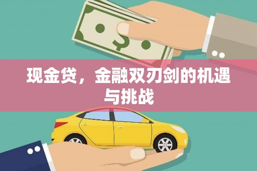 新蔡现金贷，金融双刃剑的机遇与挑战
