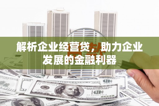 新蔡解析企业经营贷，助力企业发展的金融利器