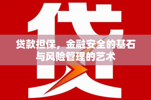 新蔡贷款担保，金融安全的基石与风险管理的艺术