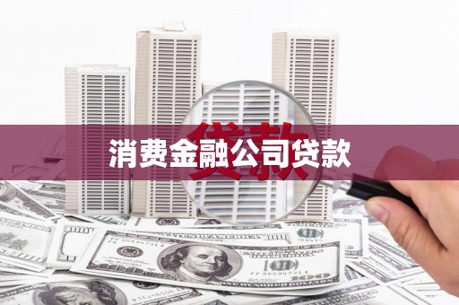 新蔡消费金融公司贷款