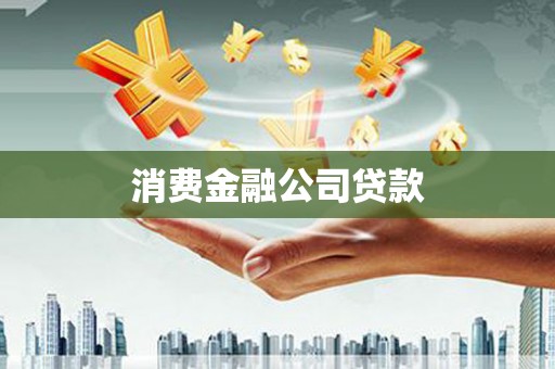 新蔡消费金融公司贷款