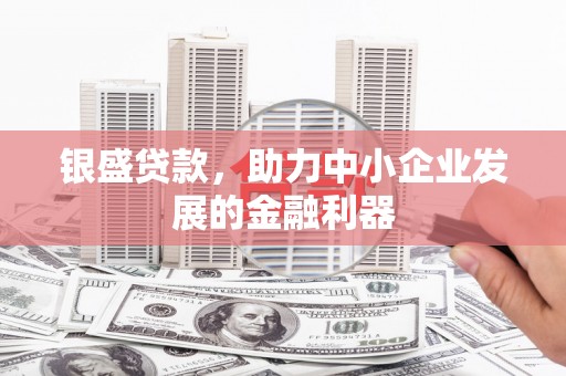 新蔡银盛贷款，助力中小企业发展的金融利器