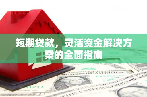 新蔡短期贷款，灵活资金解决方案的全面指南