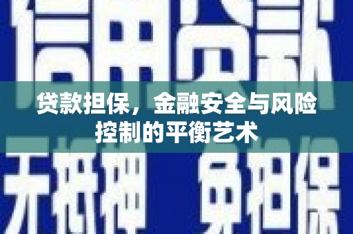 新蔡贷款担保，金融安全与风险控制的平衡艺术
