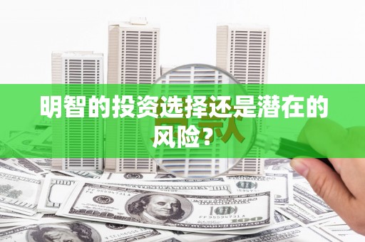 新蔡明智的投资选择还是潜在的风险？