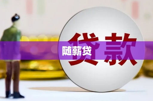 新蔡随薪贷