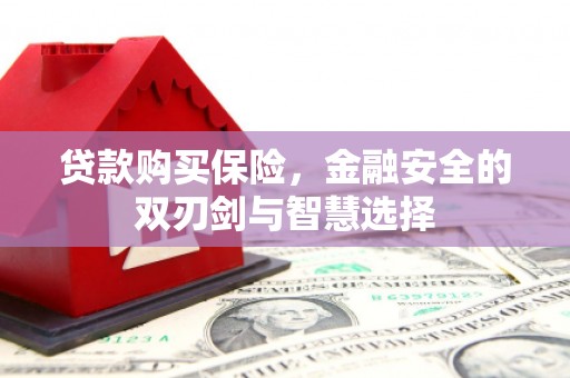 新蔡贷款购买保险，金融安全的双刃剑与智慧选择