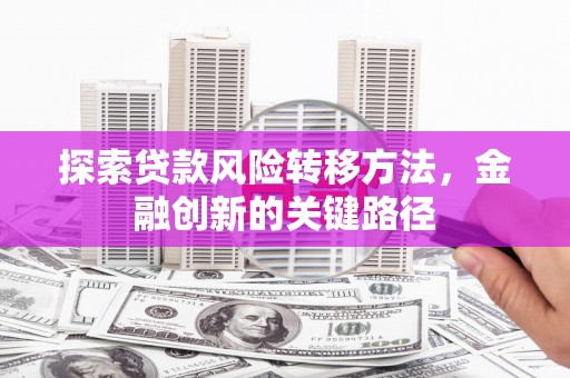 新蔡探索贷款风险转移方法，金融创新的关键路径