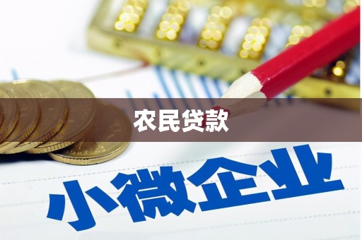 新蔡农民贷款