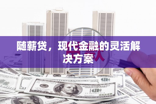 新蔡随薪贷，现代金融的灵活解决方案