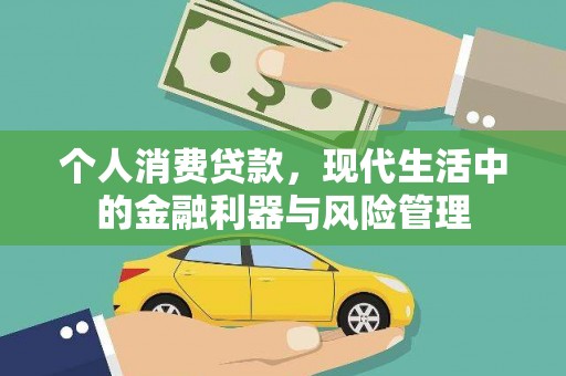 新蔡个人消费贷款，现代生活中的金融利器与风险管理