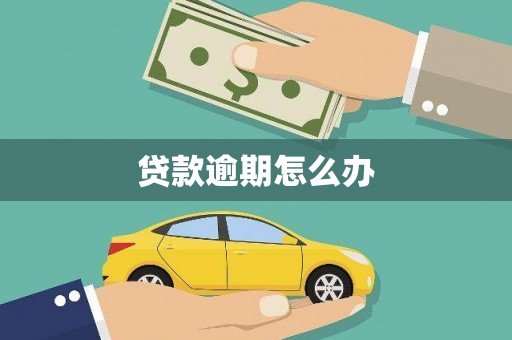 新蔡贷款逾期怎么办