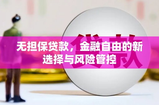 新蔡无担保贷款，金融自由的新选择与风险管控