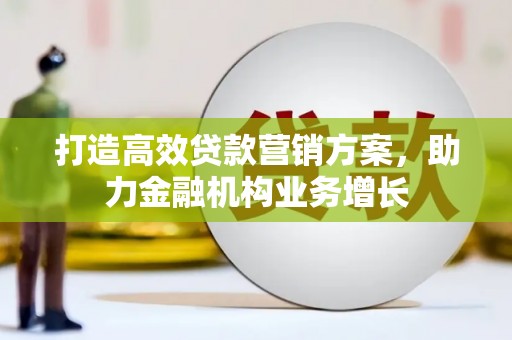 新蔡打造高效贷款营销方案，助力金融机构业务增长