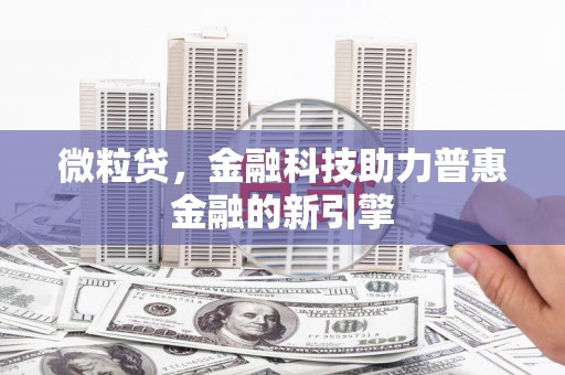 新蔡微粒贷，金融科技助力普惠金融的新引擎