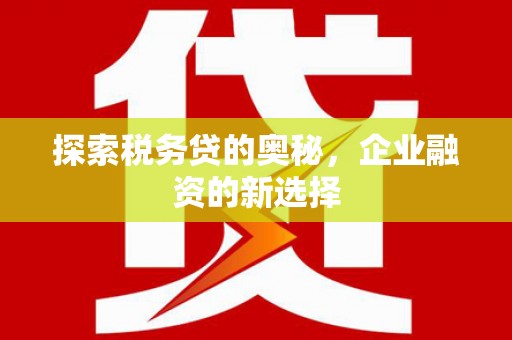 新蔡探索税务贷的奥秘，企业融资的新选择