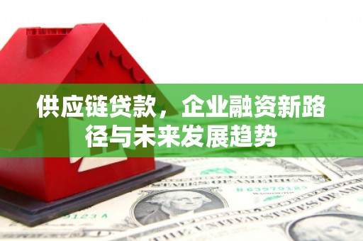 新蔡供应链贷款，企业融资新路径与未来发展趋势