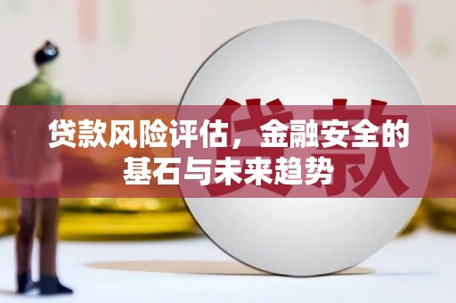 新蔡贷款风险评估，金融安全的基石与未来趋势