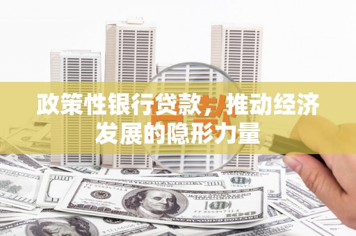 新蔡政策性银行贷款，推动经济发展的隐形力量