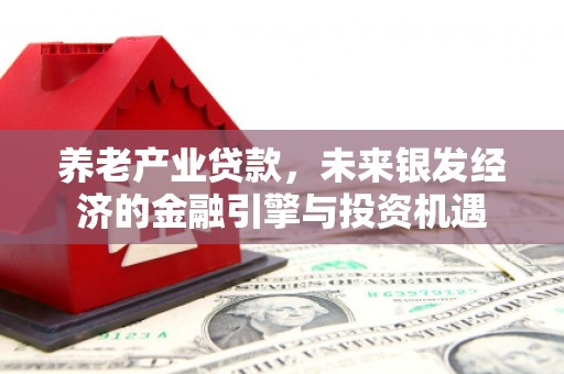 新蔡养老产业贷款，未来银发经济的金融引擎与投资机遇