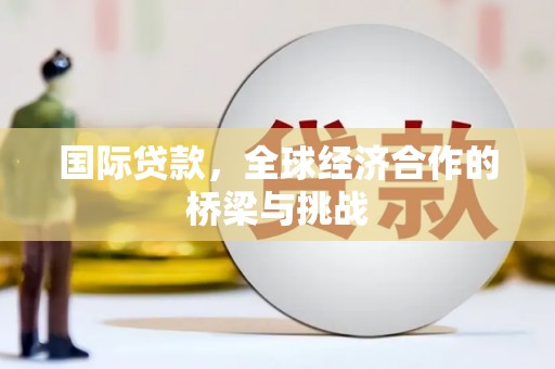 新蔡国际贷款，全球经济合作的桥梁与挑战