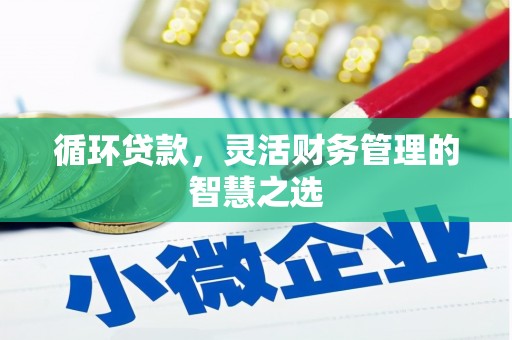 新蔡循环贷款，灵活财务管理的智慧之选