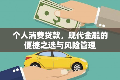 新蔡个人消费贷款，现代金融的便捷之选与风险管理