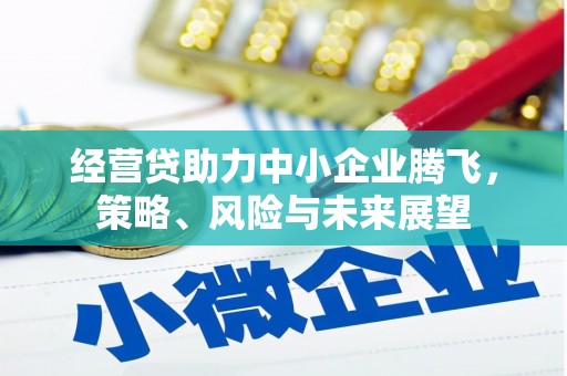 新蔡经营贷助力中小企业腾飞，策略、风险与未来展望
