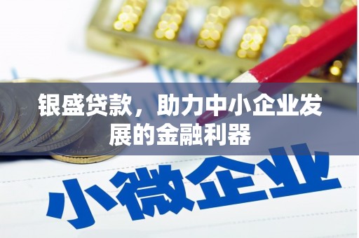 新蔡银盛贷款，助力中小企业发展的金融利器