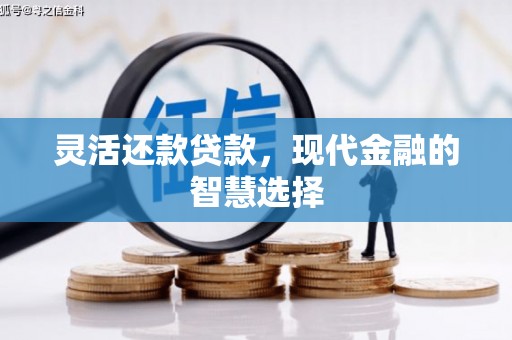 新蔡灵活还款贷款，现代金融的智慧选择