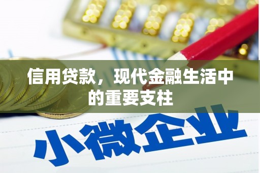 新蔡信用贷款，现代金融生活中的重要支柱