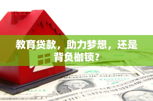 新蔡教育贷款，助力梦想，还是背负枷锁？
