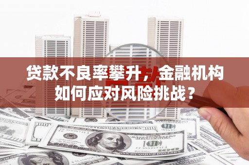 新蔡贷款不良率攀升，金融机构如何应对风险挑战？