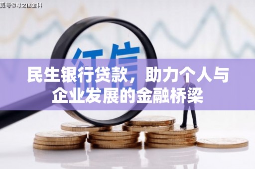 新蔡民生银行贷款，助力个人与企业发展的金融桥梁