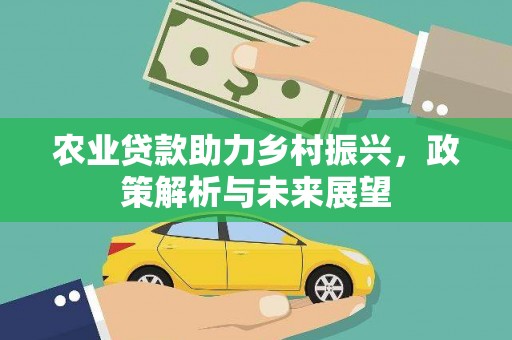新蔡农业贷款助力乡村振兴，政策解析与未来展望