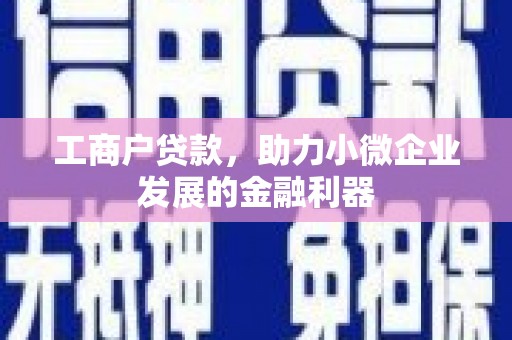 新蔡工商户贷款，助力小微企业发展的金融利器
