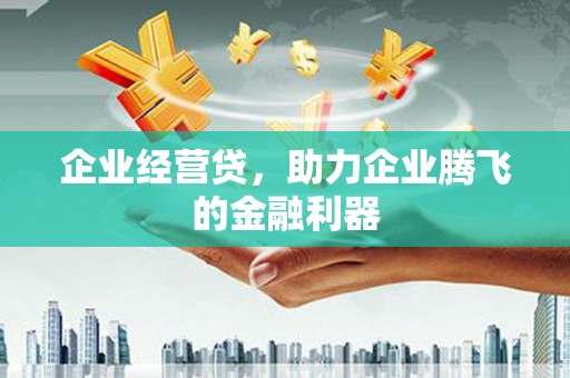 新蔡企业经营贷，助力企业腾飞的金融利器