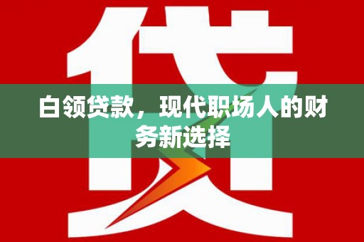 新蔡白领贷款，现代职场人的财务新选择